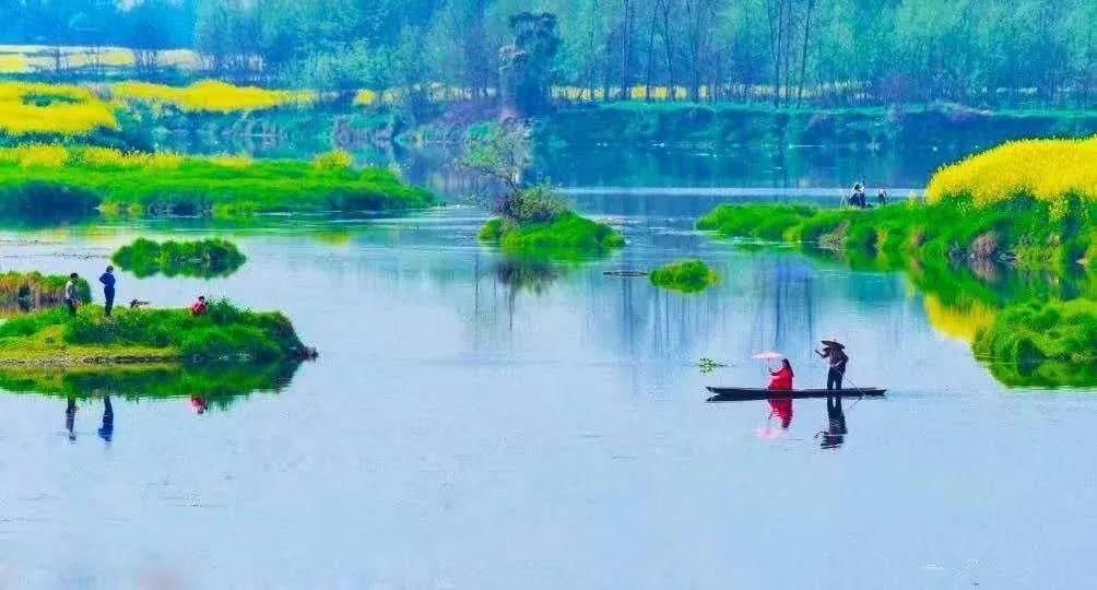 成都油菜花“千岛湖”，在这里……