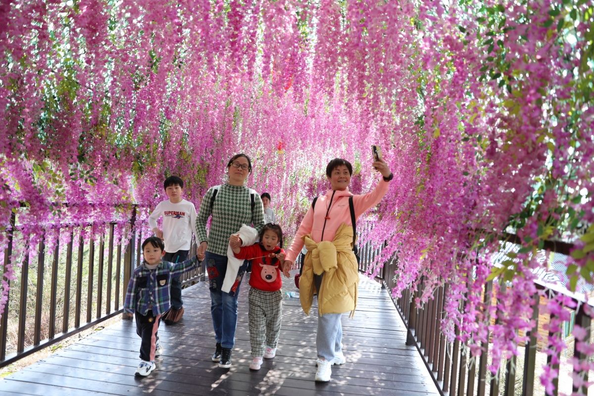 颜真卿|抚州乡村旅游经济火爆