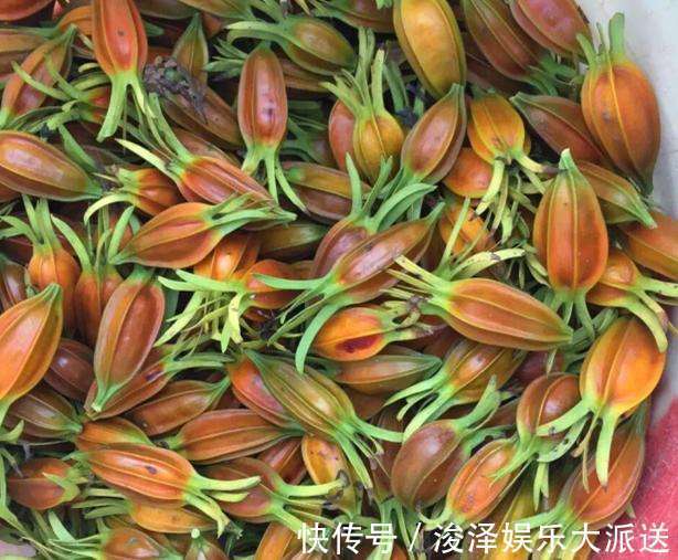 更年期|女生不想老太婆,常吃此物不贫血,没白发不近视,抗衰老清洁血液