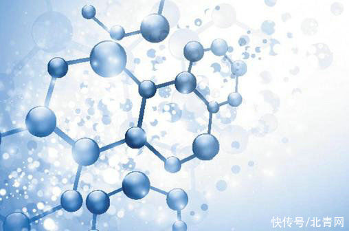 研究发现|新机制让身体“假装”吃得少 激活更强免疫力对抗肿瘤