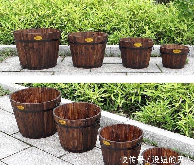 想要养好花,选对花盆很关键,这8种花盆你了解吗