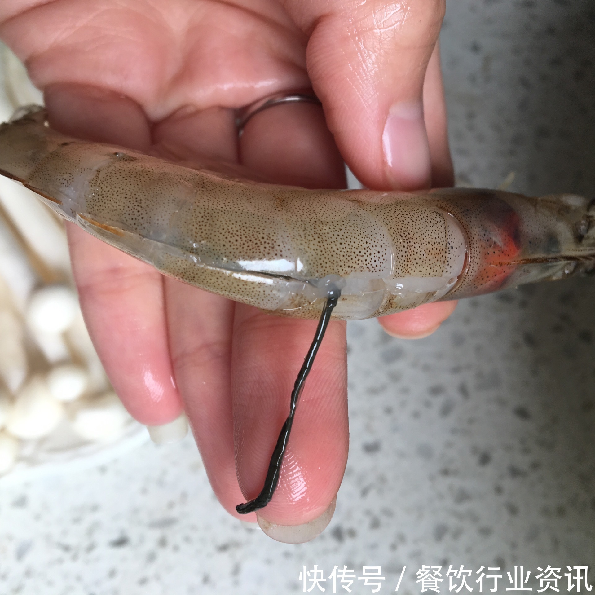 冬天|冬天来上这样一碗汤,养生还减肥不说,味道满足你挑剔的味蕾!