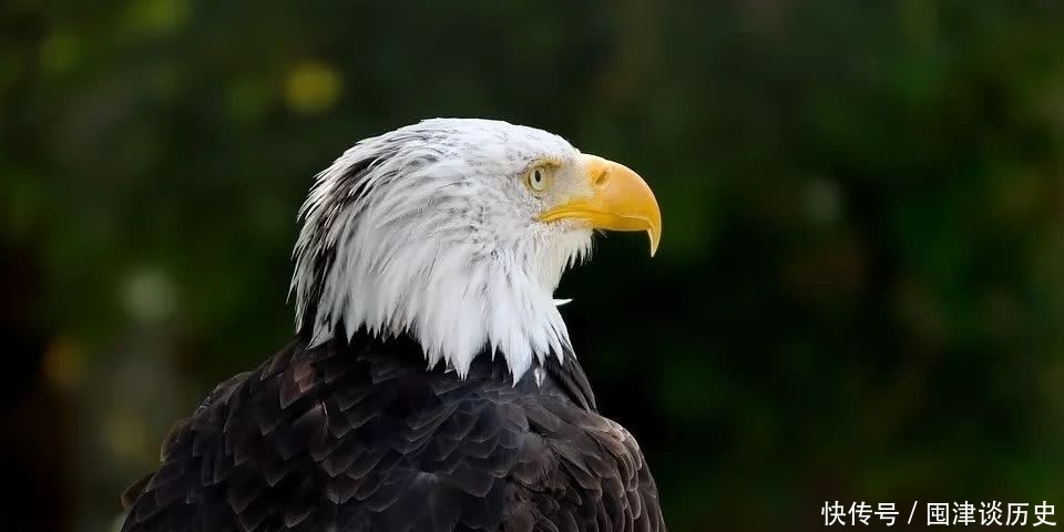 高估|人性很脆弱,不要高估