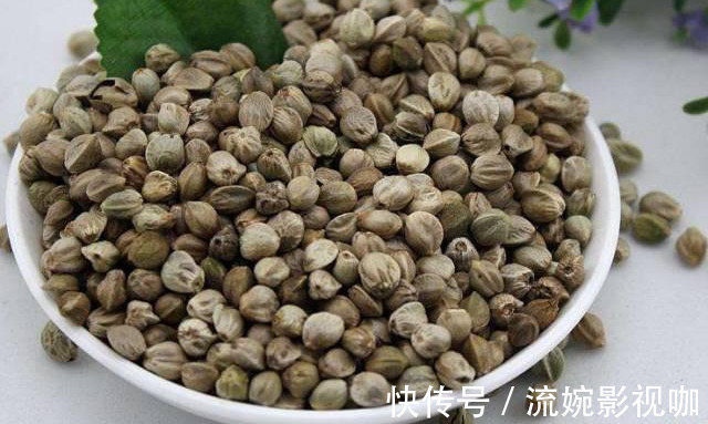 君子兰肥|君子兰肥到流油,长寿花开不断,原来他用了这个小方法!