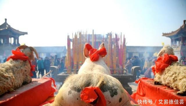  大雁|古人送礼为什么会送一只羊？不光送羊，送大雁的也有