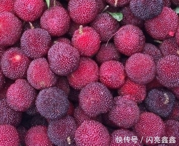 冬季防治便秘,不妨多吃此果,清腸通便,讓腸道越來越健康