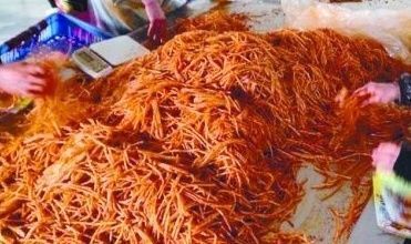 高蛋白食物|宠爱不是溺爱,4岁小孩患上直肠癌,只因宝妈常给儿子吃这个!