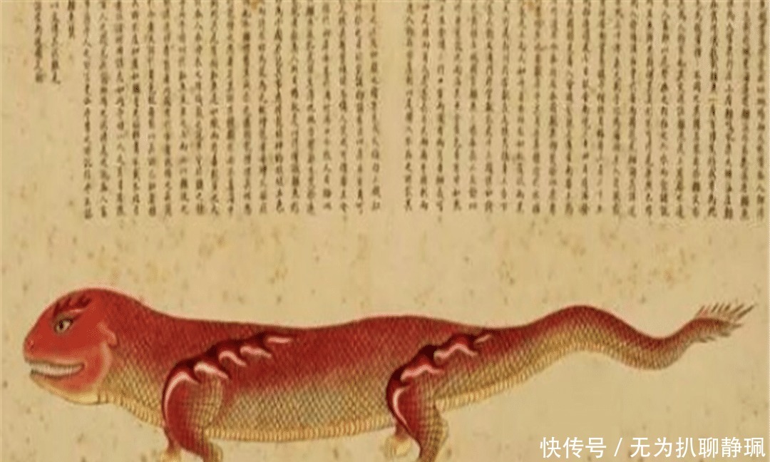 画谱|乾隆枕边翻烂的画谱,被称为清代《山海经》,画中动物达300种