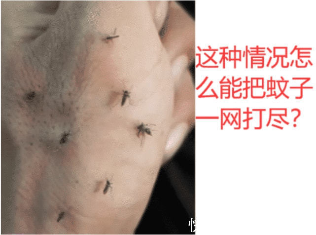 |搞笑GIF趣图:妹子很擅长玩石头剪刀布,一口气拿了五连胜