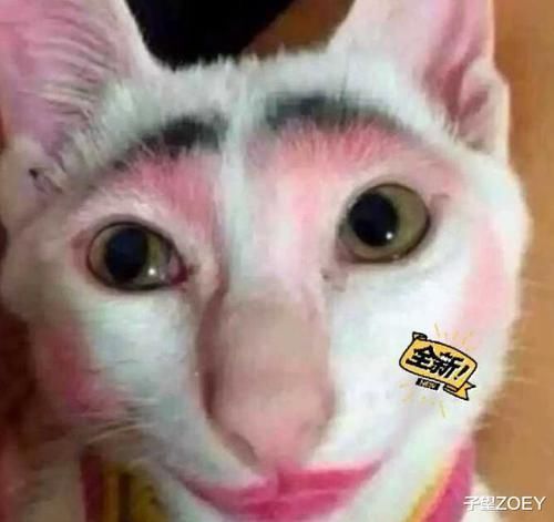 |搞笑那些年我们网购的沙雕物品，这些都有用吗