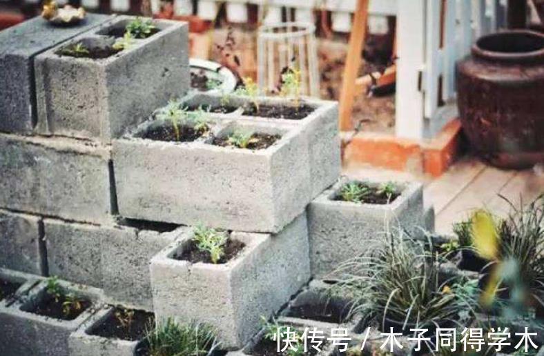 红砖|搬两块砖回家养花吧！过程有趣，效果喜人