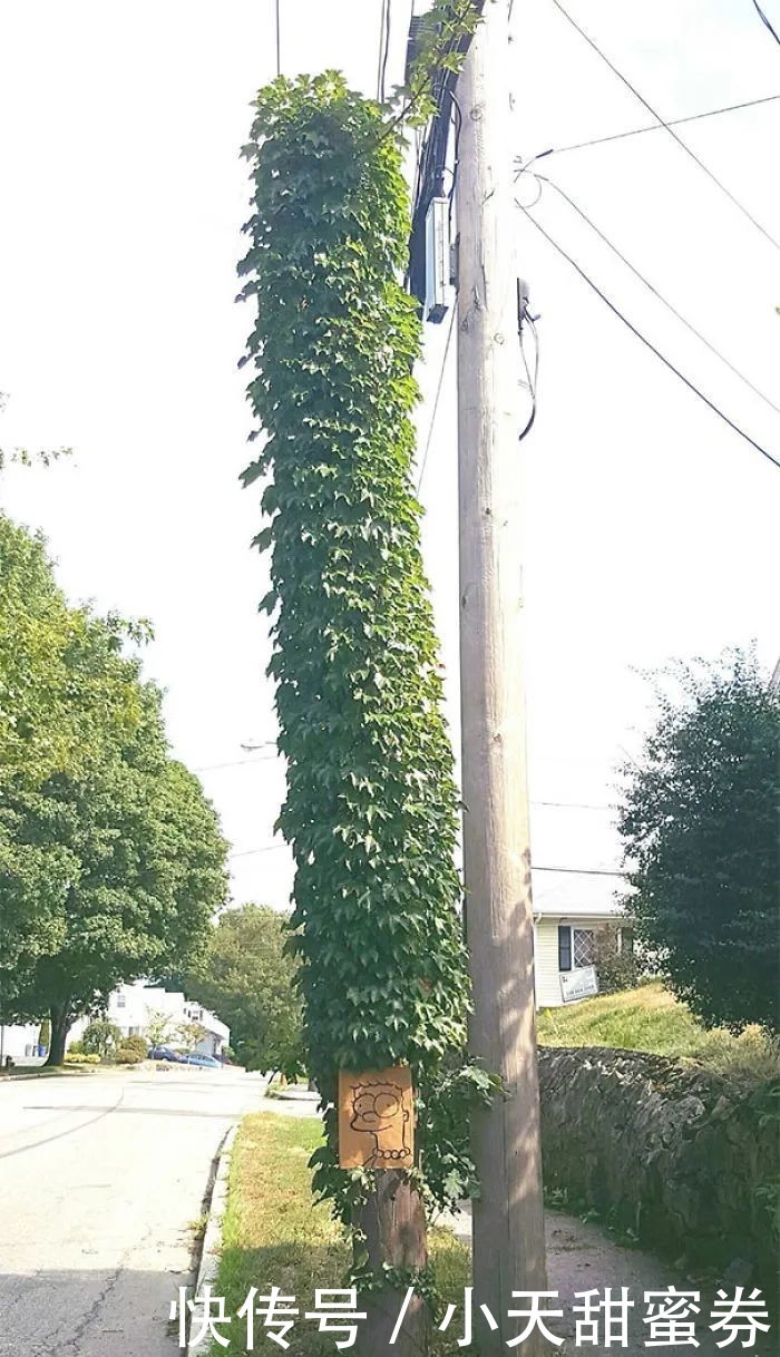 22个搞笑创意,让你不由地感叹,这些人真无聊,不过我喜欢