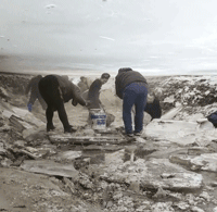 |搞笑GIF：世界上最可怕的荡秋千，给钱我都不去