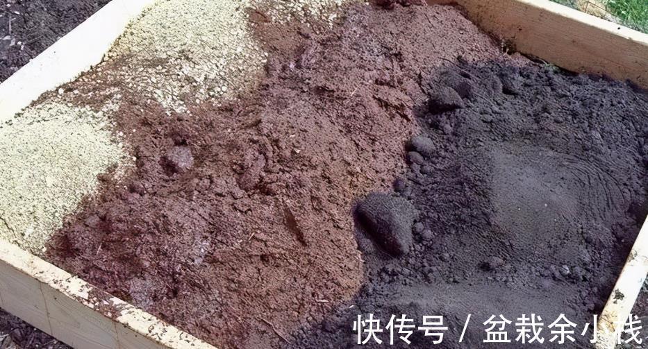 花卉们|养花选土、配土有门道,别再小看了!