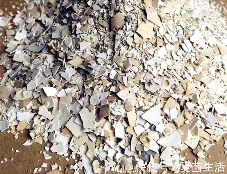 土壤肥力|家里的鸡蛋壳不要扔,拿来养花妙用多,现在知道还不晚!