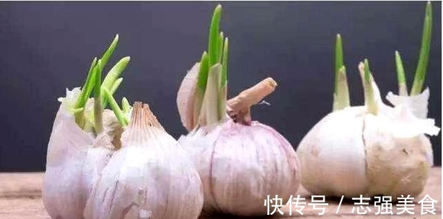 茄碱|4种食物发芽后,不仅没“毒”,营养反而增加