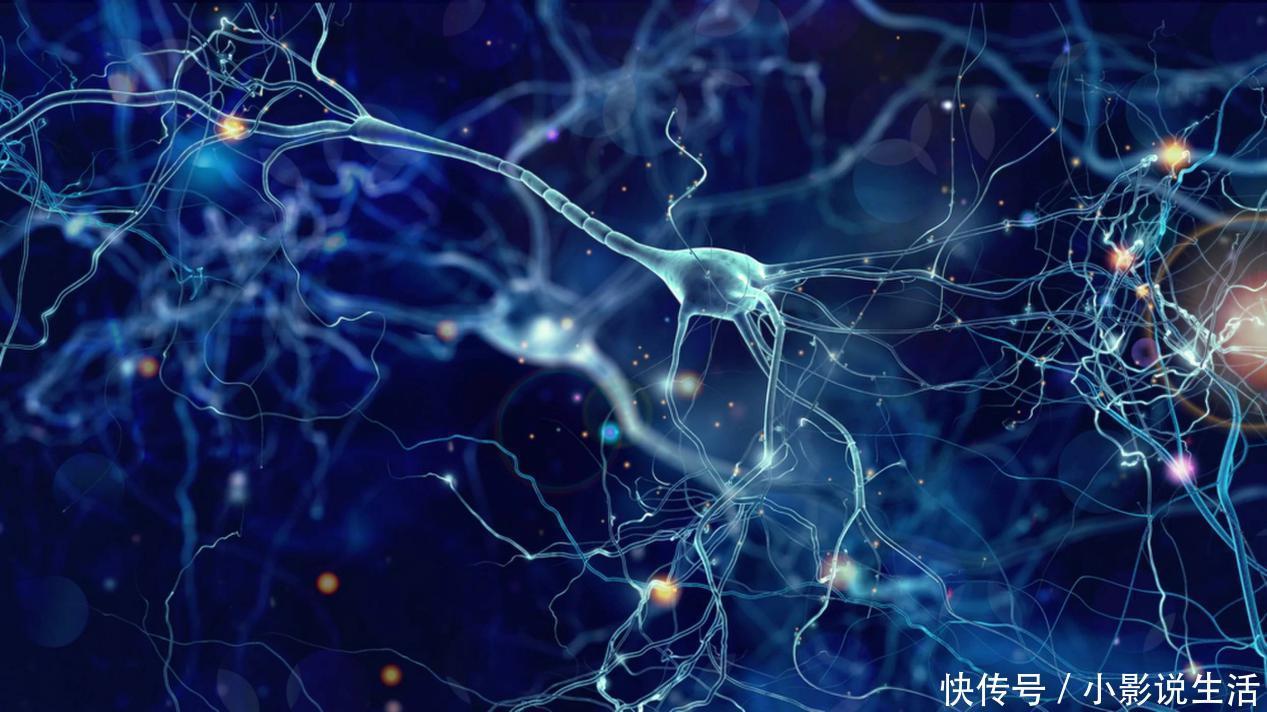 生活|如何有效预防老年痴呆?生活中做好4件小事,痴呆与你无缘!