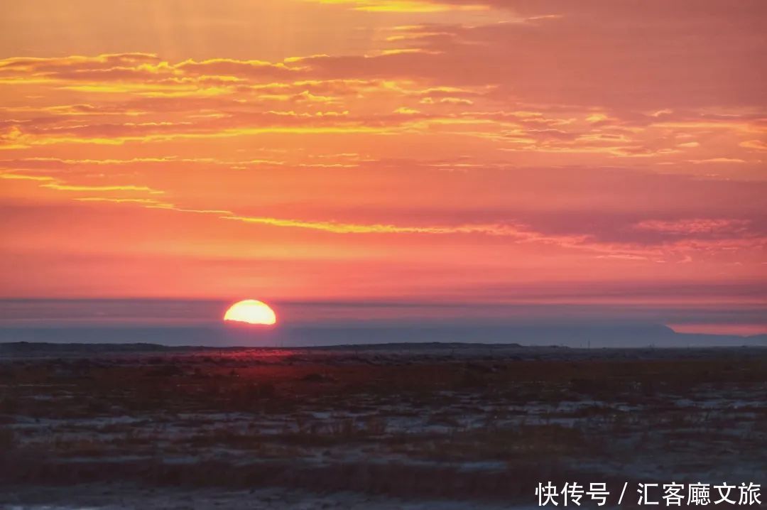 樟子松|这个夏天，我劝你一定要去一次内蒙古 ！