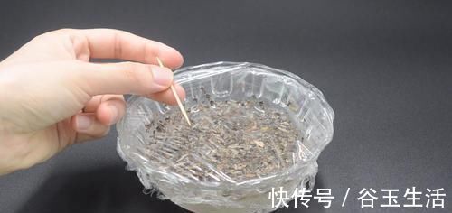 茶叶放白醋里泡一泡,真是厉害了,解决家家都困扰的烦恼,太棒了