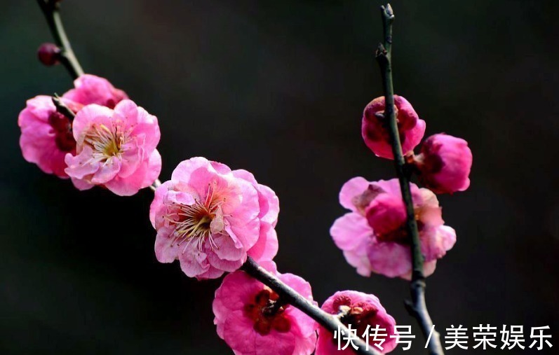 福气|命中有福，生的孩子儿俊女靓，郎才女貌，福泽子孙的3大生肖女