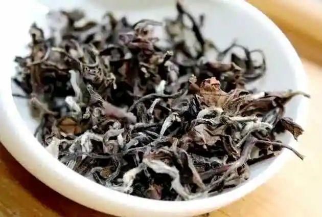 大田 开茶喽!三明大田“美人”娇艳绽放