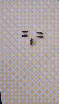 |搞笑段子王:小姐姐,你是有什么高兴事吗?,这样走路小心挨打哦