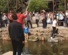 |搞笑GIF趣图:猪肉涨价太厉害,媳妇已经好几天都没买猪肉了