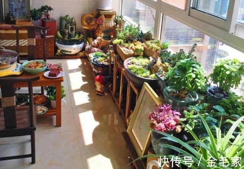 叶片|三九寒天已过，立春阳台养花别闲着，4件事提前做，先把根系叫醒