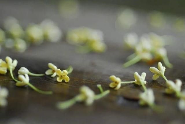 佛家|王维的《鸟鸣涧》乍一看是一首山水诗,其实是佛家修炼的三层境界