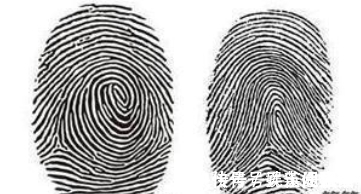 战国时期$俗话说:你的手指有几个螺和几只簸箕 你知道这是什么意思吗