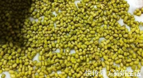 发豆芽|豆芽不用出门买，教你在家发，4天就能吃，又粗又壮好吃更安全