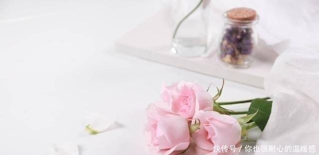 地方|林徽因:爱,或者不爱,只能自行了断