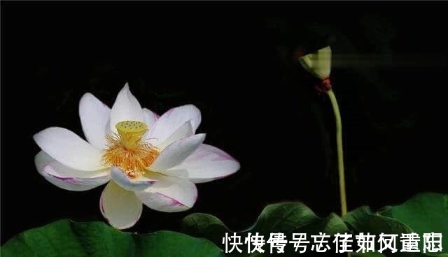 曾国藩&真正聪明的人,有三不说,越是不说,越能积德积福