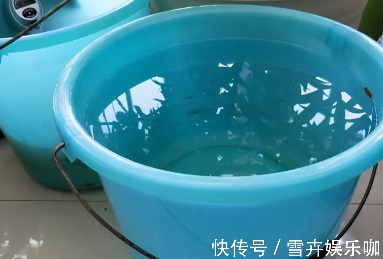 缺水|养花入门小知识:给盆栽浇水有哪些技巧或要求?