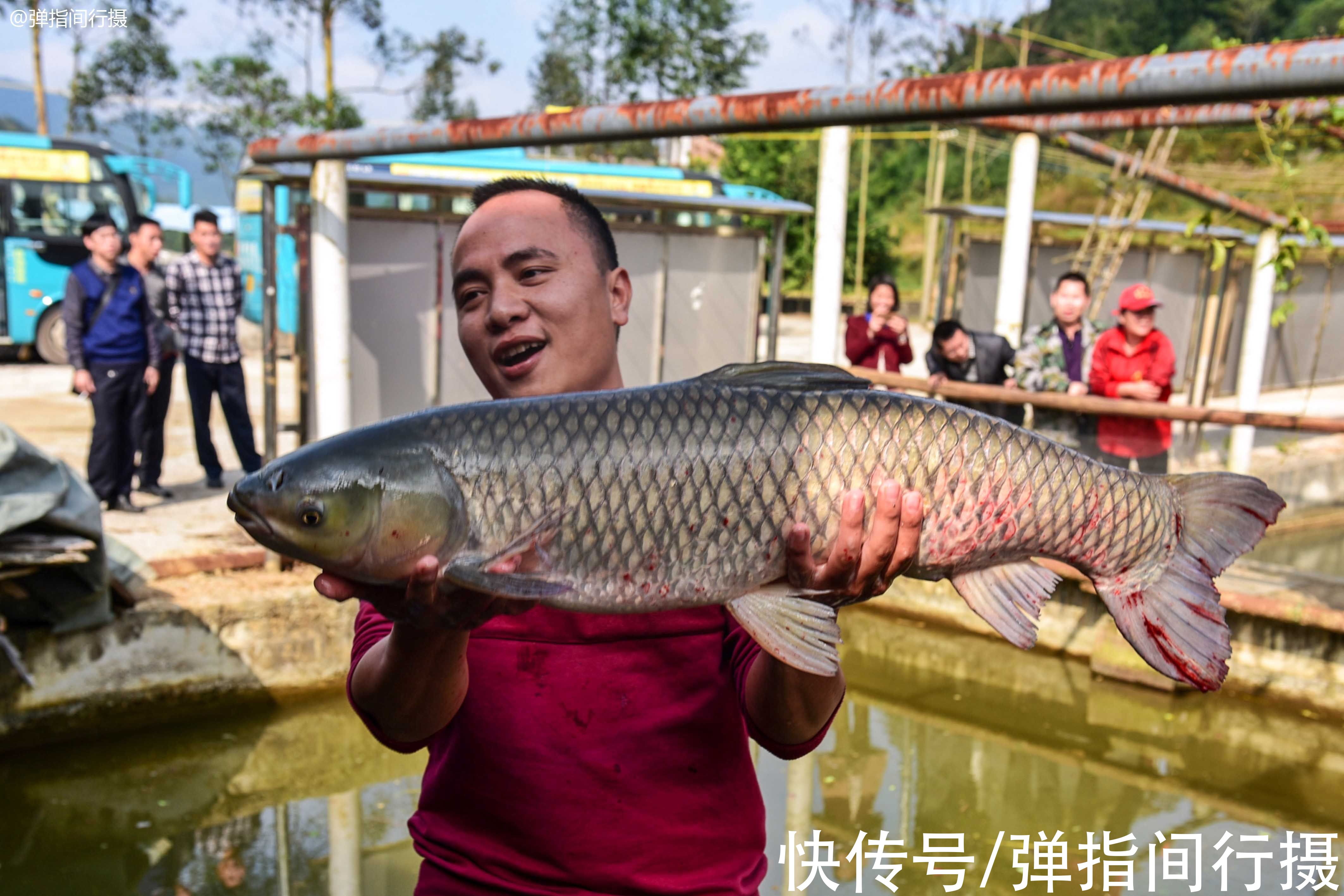 广东省|中国3个“长寿之城”，温暖安逸，景美物廉，是低调的养老小城