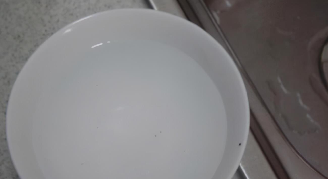 没有肥料养花,拿3样东西自制,操作简单,还能解决花钱问题