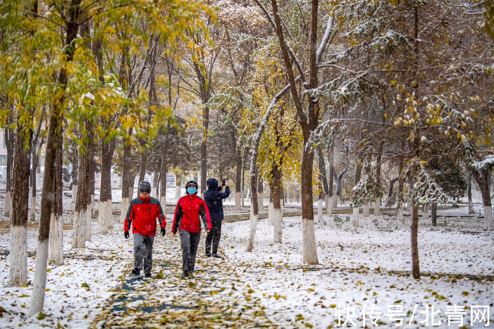 大雪|银川大雪纷飞！在2021年秋天的最后一天