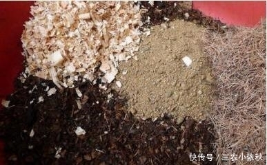 养花换盆的旧土别扔, 简单2步, 旧土变新土, 养花效果嗷嗷的