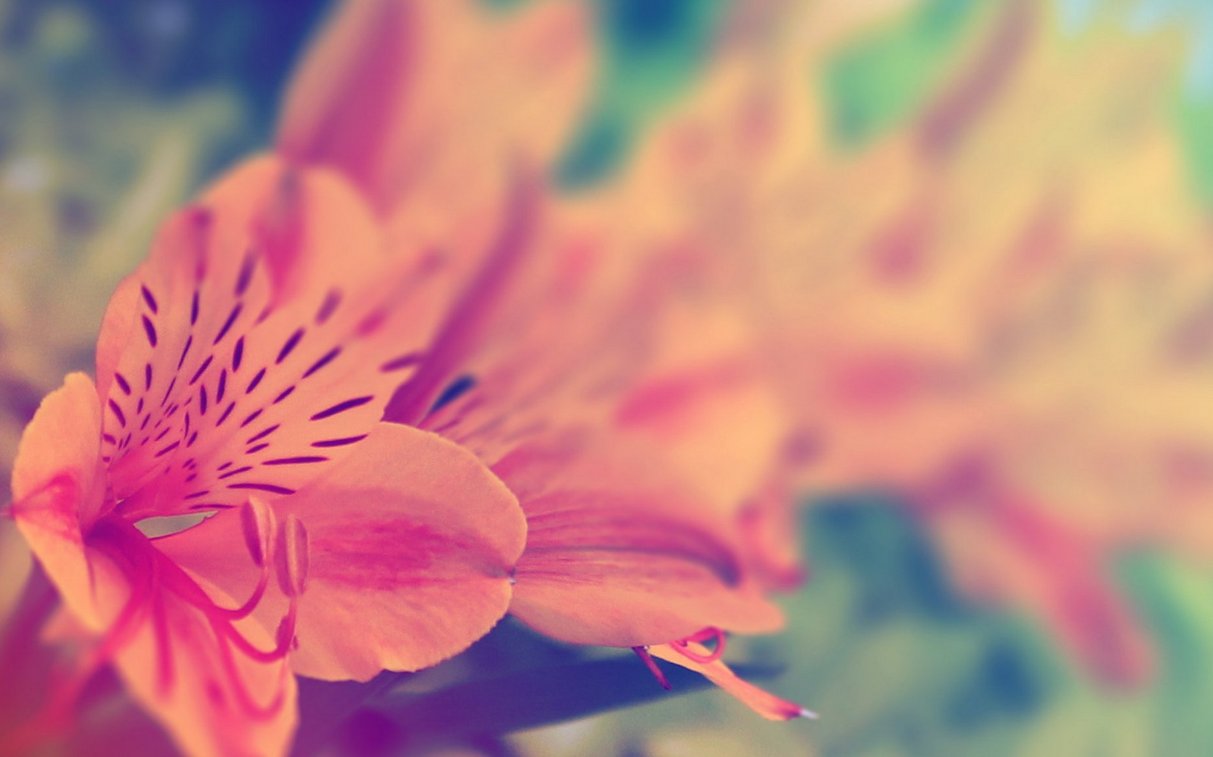 11月27日 11月30日 三大星座在事业中大展宏图 享不完的好运气 全网搜