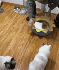 |搞笑GIF:功夫确实不错,只是裤子掉的有些尴尬