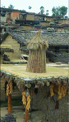 |搞笑GIF：有些搞笑是模仿不来的