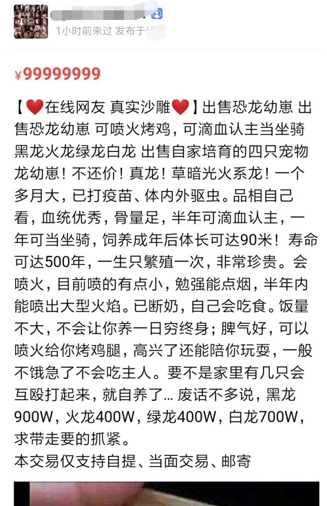 收下|某鱼上的这些沙雕卖家,请收下我的膝盖