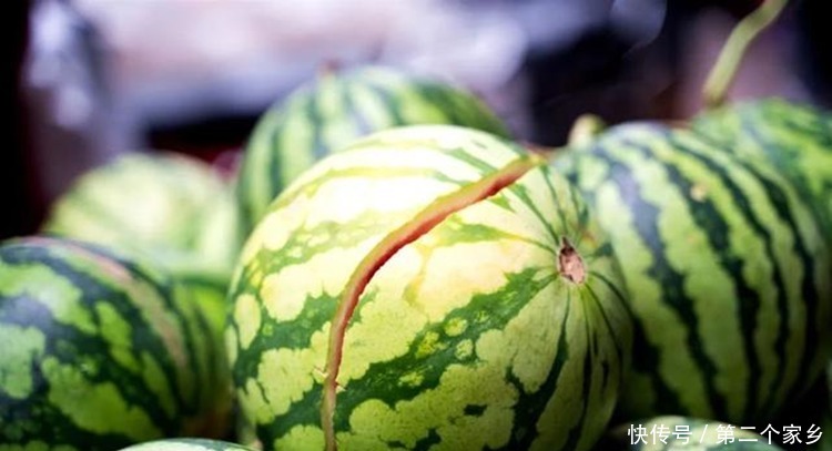 五色糯米饭|美食吃在巴马,人间烟火气,最抚凡人心