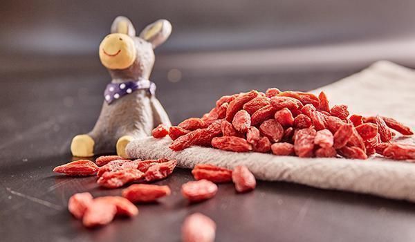 搭配|黄芪也有“天生一对”,经常喝,补气祛湿,不少好处会登门拜访