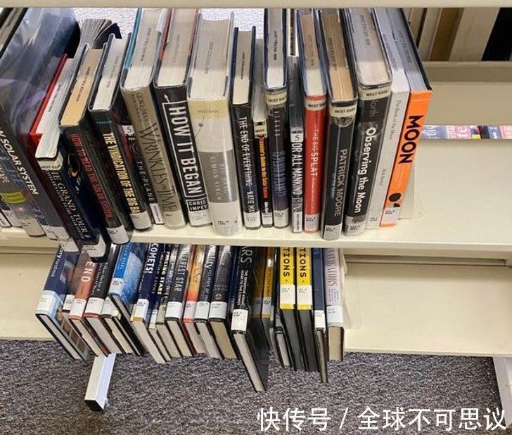 lion|19个人通过改变一个小细节让我们的生活更轻松