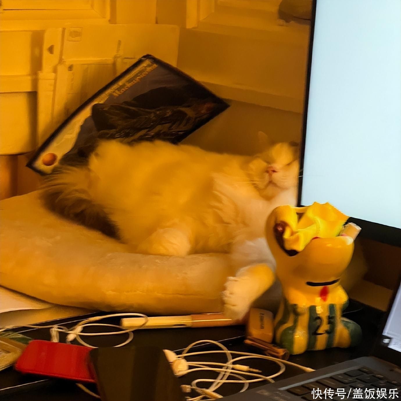 奇葩说詹青云庞颖罕秀恩爱,定居美国住豪宅,从朋友关系转恋人 - 360娱乐,你开心就好