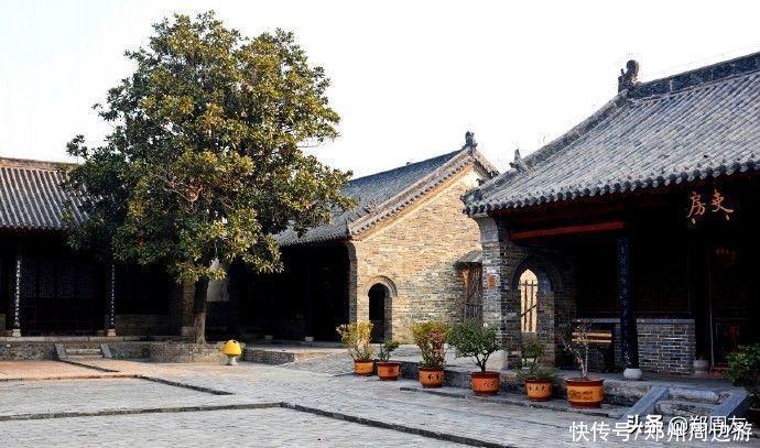 中年|蜡梅，南阳府衙最美的遇见