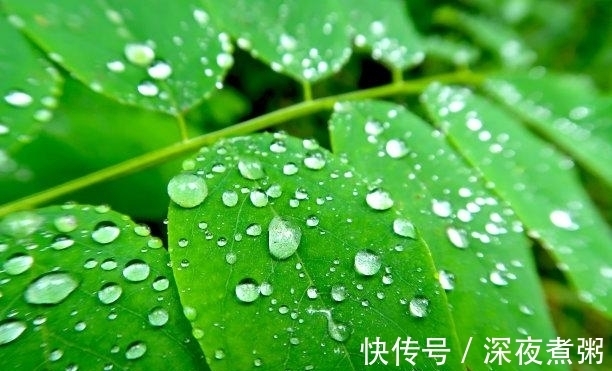 旧爱|11月末，红娘相助，旧爱难忘，旧爱回归，痴心不变，幸福相伴