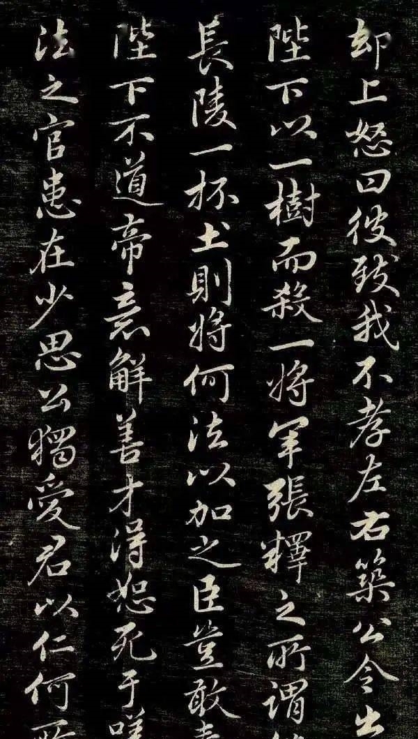 故里|看点丨狄仁杰故里