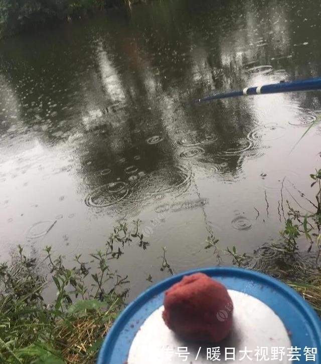 毛毛雨|夏季遇到这三种天气，就可以拿起鱼竿出发，连竿中鱼不是事儿